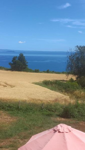 Nuevos departamentos a 40 minutos LAGO RANCO , ubicado en la comuna de La Unión